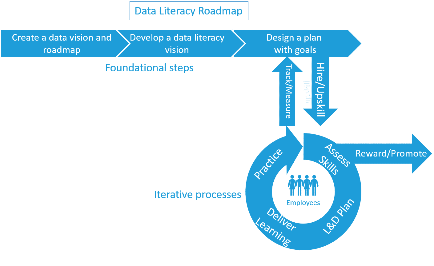 Data Literacy roadmap