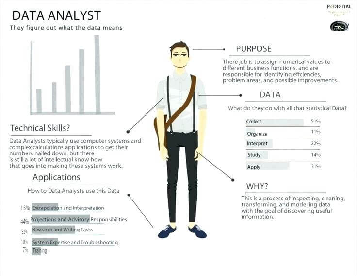 summary of what a Data Analyst does 