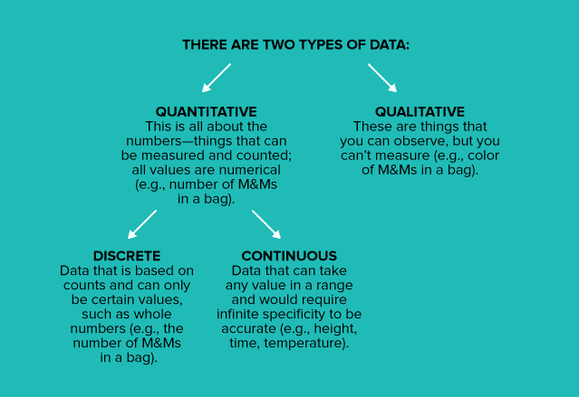 10 Data Literacy Skills to Become a Data Citizen -