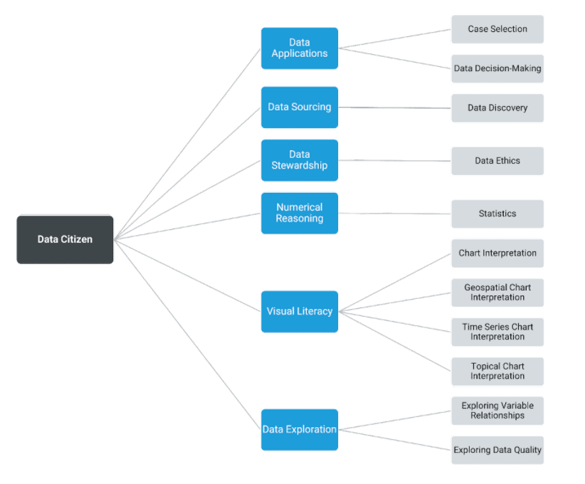 what is data literacy?