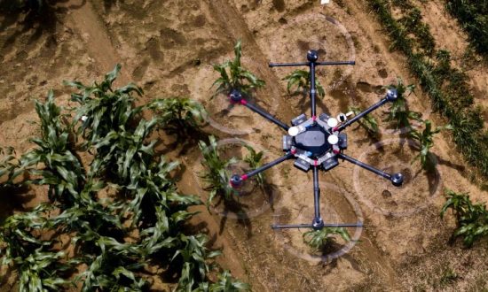 Drone over field.