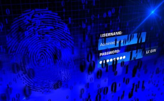 Digital fingerprint with login screen.